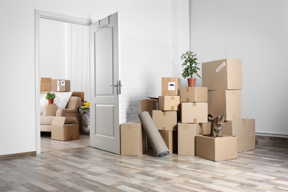 Moving Day Preparation Guide: A Stress-Free Experience 